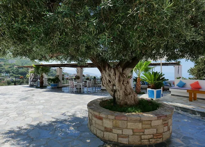 Bed and Breakfast Panorama