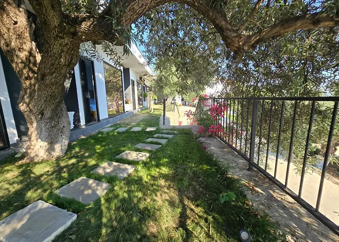 Bed and Breakfast Panorama
