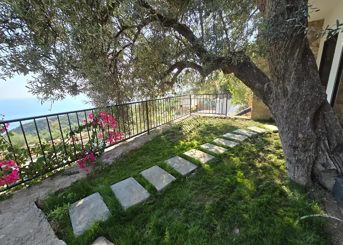 Bed and Breakfast Panorama