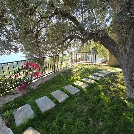 Bed and breakfast Panorama